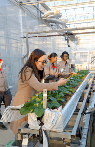 ЖАЙКА хамтын ажиллагаа: Ханбогд сумын 2-р сургууль "Миниплант" хүлэмжийн төсөл