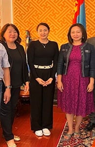 Ханбогд сумын эрүүл мэндийн салбарын нөхцөл байдлын судалгаа, Ханбогд сумын эрүүл мэндийн салбарын хөгжлийн замын зураглал 2028